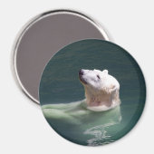 Rest polair beer magneet (Voorkant / Achterkant)