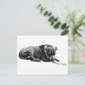 Rest Pose Dog Briefkaart (Staand voorkant)