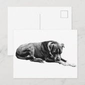 Rest Pose Dog Briefkaart (Voorkant / Achterkant)