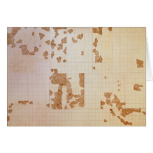 Reste d'un cadastre