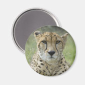 Resten in gras magneet (Voorkant / Achterkant)