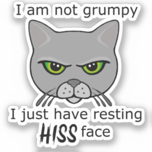 Resten Zijn Gezicht Grijze Kat - Voordelen PACR Sticker