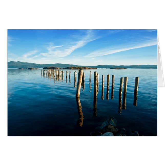 Restes de Myrtle (Devant horizontal)