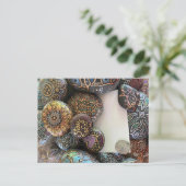 Restez en sécurité Carte postale par Julie Ann Str (Debout devant)