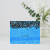 Restez tranquille Carte postale (Debout devant)