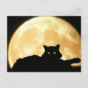 Resting Black Cat and Full Moon Briefkaart