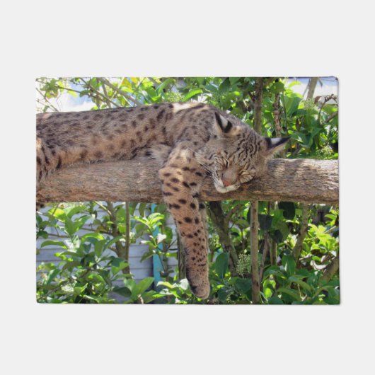 Resting Bobcat Doormat Deurmat (Voorkant)