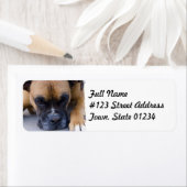 Resting Boxer Dog Mailing Label (Insitu)