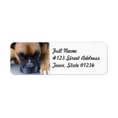 Resting Boxer Dog Mailing Label (Voorkant)