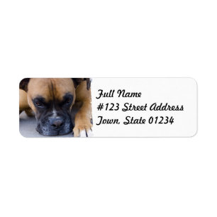 Resting Boxer Dog Mailing Label