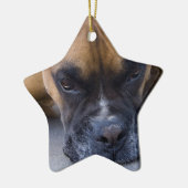 Resting Boxer Dog Ornament (Links)