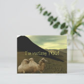 Resting Camel Briefkaart (Staand voorkant)