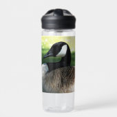 Resting Canada Goose Wildlife Foto Waterfles (Voorkant)