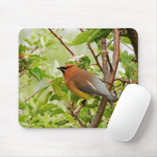 Resting Cedar Waxing Muismat (Met muis)