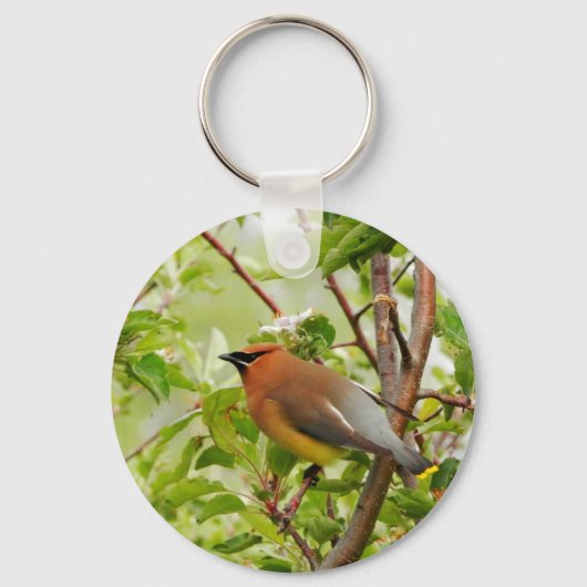 Resting Cedar Waxing Sleutelhanger (Voorkant)