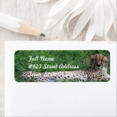 Resting Cheetah Mailing Label (Insitu)