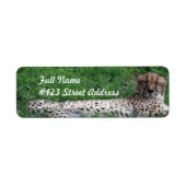 Resting Cheetah Mailing Label (Voorkant)