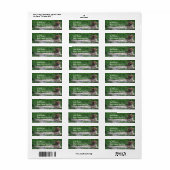 Resting Cheetah Mailing Label (Full Sheet)