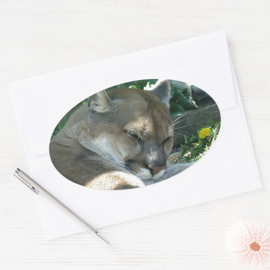 Resting Cougar Stickers (Envelop)