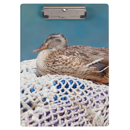 Resting Duck Klembord (Voorkant)