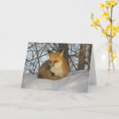 Resting Fox Kaart (Gele Bloem)