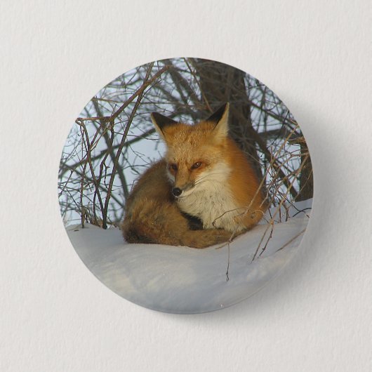 Resting Fox Ronde Button 5,7 Cm (Voorkant)