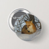 Resting Fox Ronde Button 5,7 Cm (Voorkant /achterkant)