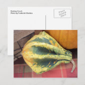 Resting Gourd Briefkaart (Voorkant / Achterkant)