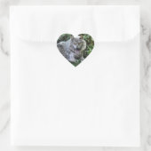 Resting Gray Wolf 3 Wildlife Gift Hart Sticker (Tas)