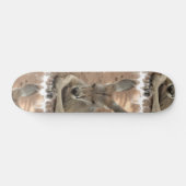 Resting Kangaroo Skateboard (Horizontaal)