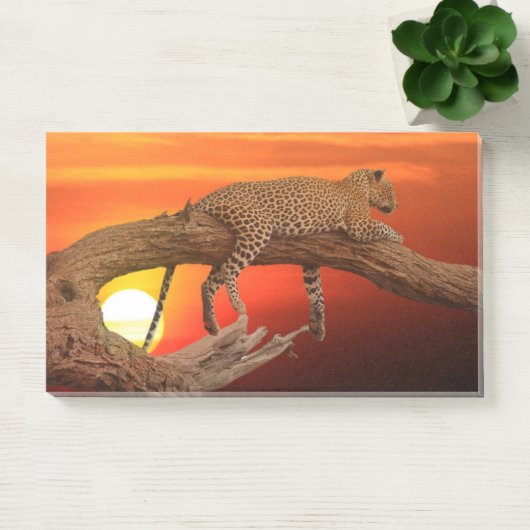 Resting Leopard Post-it® Notes (Kantoor)