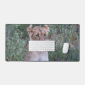 Resting Lioness in African Wilderness (Clavier et souris)