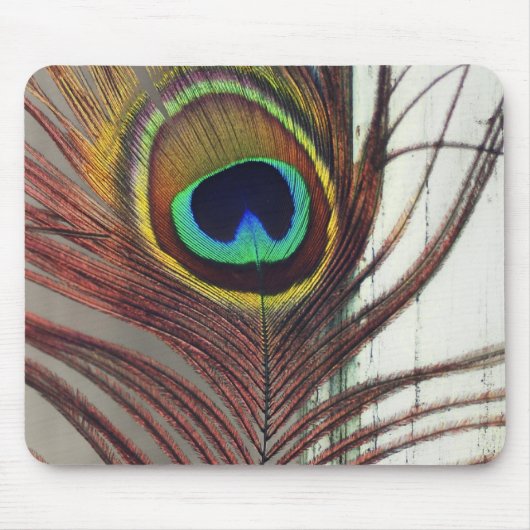 Resting Peacock Feather Muismat (Voorkant)