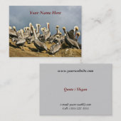 Resting Pelicans Visitekaartje (Voorkant / Achterkant)