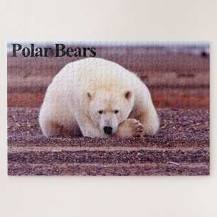 Resting Polar Beer Jigzaag Puzzle Legpuzzel