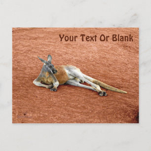 Resting Red Kangaroo Buck Briefkaart