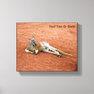 Resting Red Kangaroo Buck Canvas Afdruk