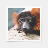 Resting Red Ruffed Lemur Servetten (Voorkant)