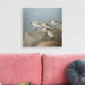 Resting Sanderlings #2 Schilderij van Ezartesa Canvas Afdruk (Insitu (Woonkamer))
