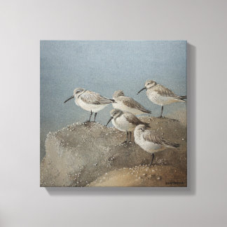 Resting Sanderlings #2 Schilderij van Ezartesa Canvas Afdruk