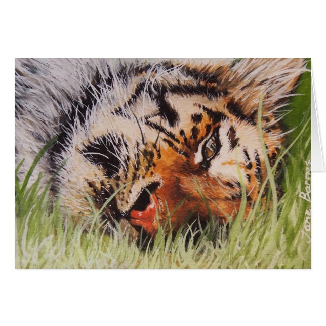 Resting Tiger (Voorkant Horizontaal)