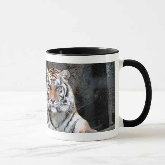 Resting Tiger Mok (Rechts)