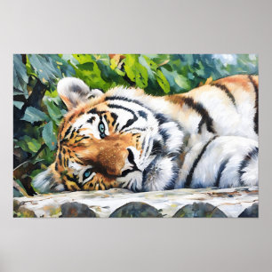 Resting Tiger Portrait Poster