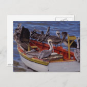 Resting time, Venezuela Briefkaart (Voorkant / Achterkant)