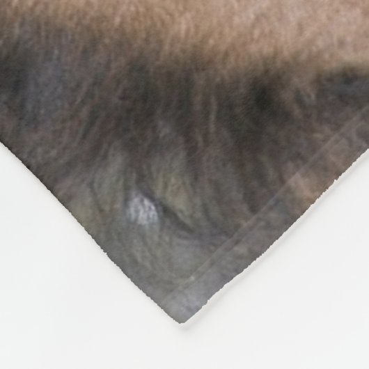 Resting Wild Pony Fleece Deken (Hoek)