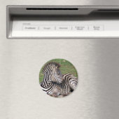Resting Zebra Magnet Magneet (Insitu (Vaatwasser))