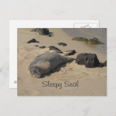 Resting Zee Lion Briefkaart (Voorkant / Achterkant)