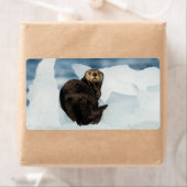 Resting Zee Otter Etiket (Insitu)