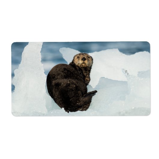 Resting Zee Otter Etiket (Voorkant)