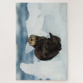 Resting Zee Otter Legpuzzel (Verticaal)